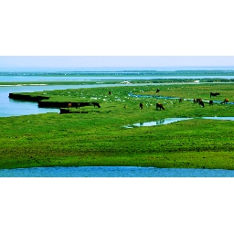 鄱阳湖国家湿地公园一日游